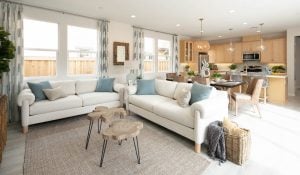 Tips for Designing a Great Room