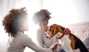 Keeping Your Pets Safe in an Emergency