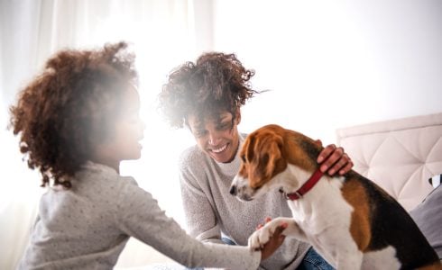 Keeping Your Pets Safe in an Emergency