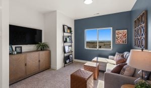 What is a Flex Room and How Can You Use It?