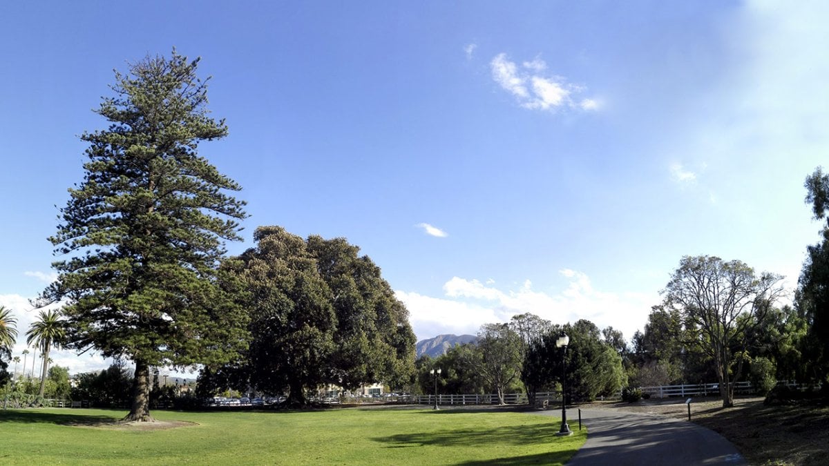 Image of Camarillo New Townhomes